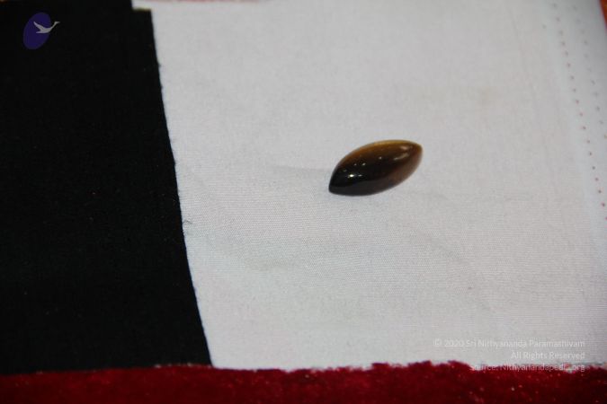 20110909 Photo 1632 1JQGzRpqAT7q15hSf7MeoasNPG6nFW3T1.JPG