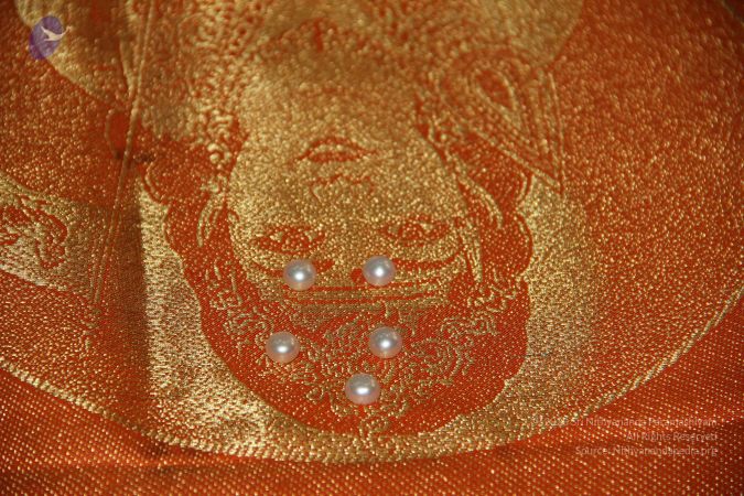 20110909 Photo 1645 1xMMcUiK0VFidTGCg9pYpnHWdQwKdjYAS.JPG