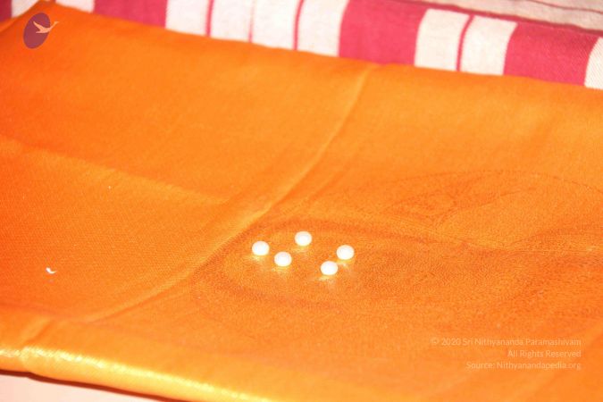 20110909 Photo 1651 1zpwD9NM21OvegXuXSy EcQDGTIL00it9.JPG