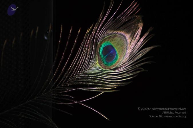 20110909 Photo 1654 1v2lGOB1G38eLczfXd2lHXkHQkrNBUi2f.JPG