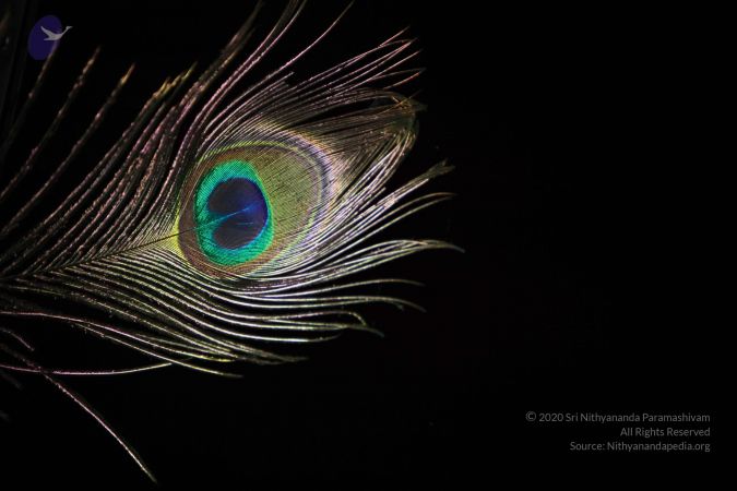 20110909 Photo 1655 10GjQnmFfhlnE7kzrRuCNBWE q3W9lY9-.JPG