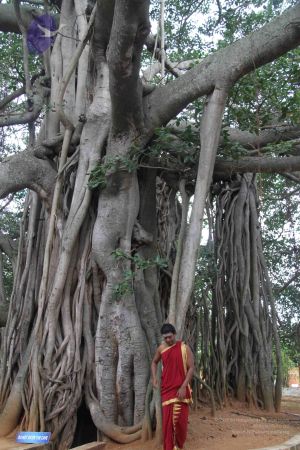 20110910 IMG 5723 CMP WM-1601.jpg