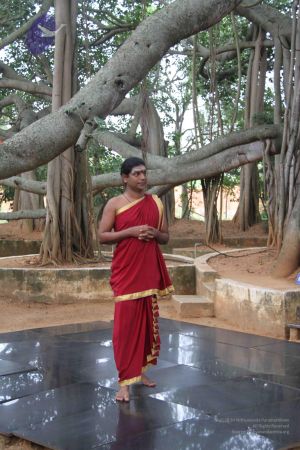 20110910 IMG 5725 CMP WM-3401.jpg