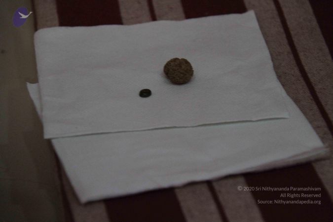 20110910 IMG 5748 CMP WM-03001.jpg