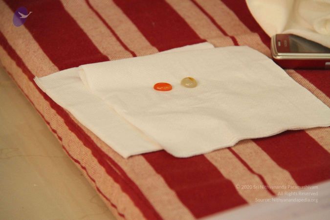 20110910 IMG 5787 CMP WM-12001.jpg