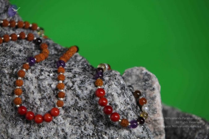 20110910 IMG 5969 CMP WM-109001.jpg