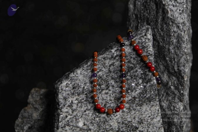 20110910 IMG 5979 CMP WM-113001.jpg