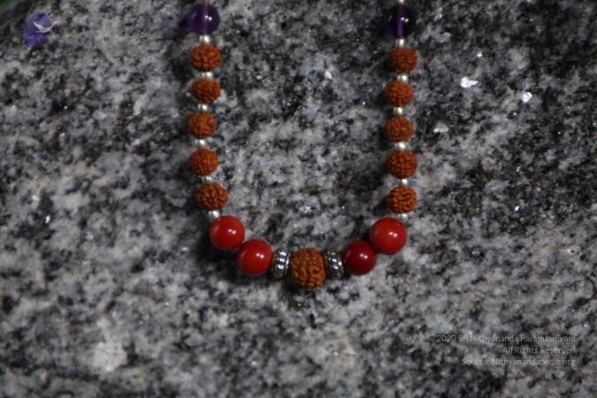 20110910 IMG 5988 CMP WM-117001.jpg