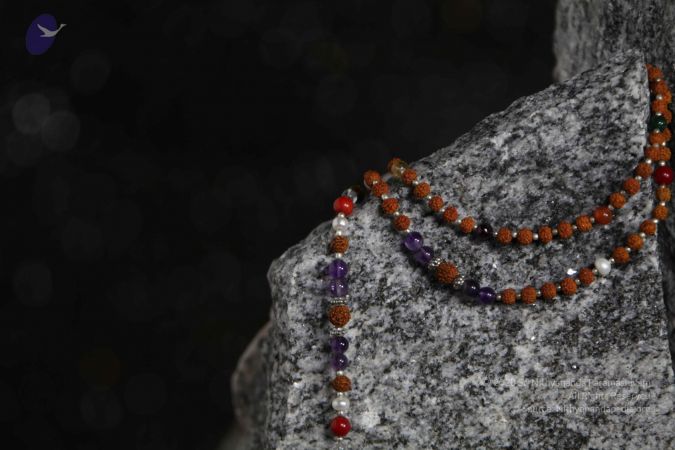 20110910 IMG 6000 CMP WM-126001.jpg