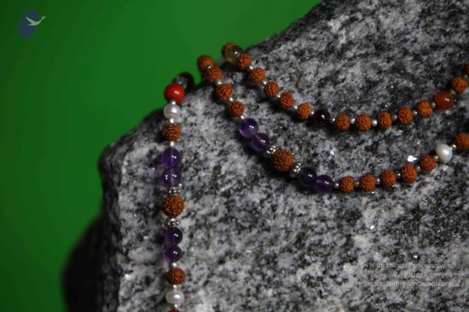 20110910 IMG 6009 CMP WM-133001.jpg