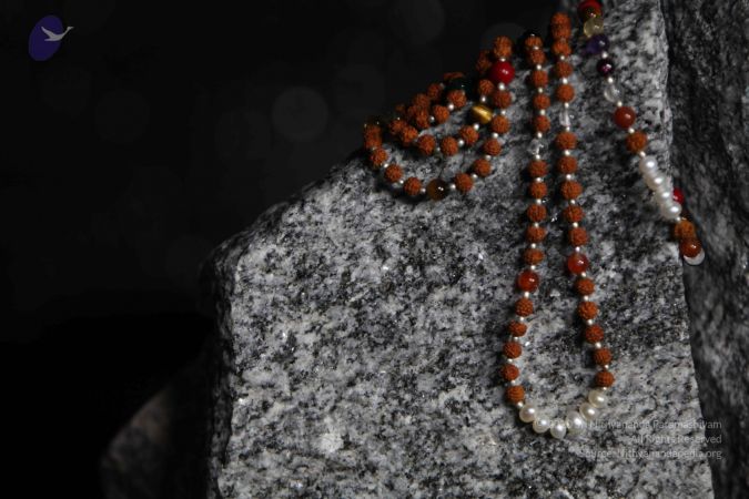 20110910 IMG 6022 CMP WM-143001.jpg