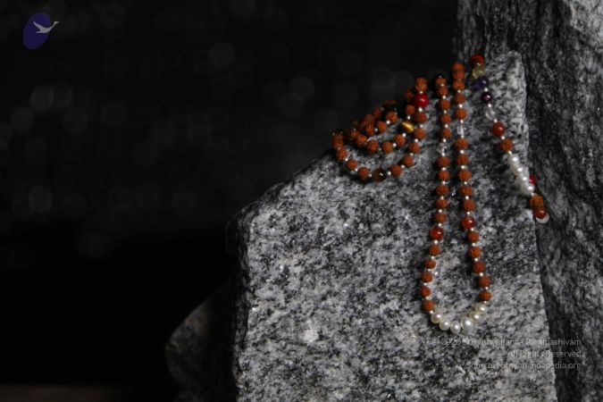 20110910 IMG 6023 CMP WM-144001.jpg