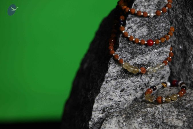 20110910 IMG 6059 CMP WM-156001.jpg