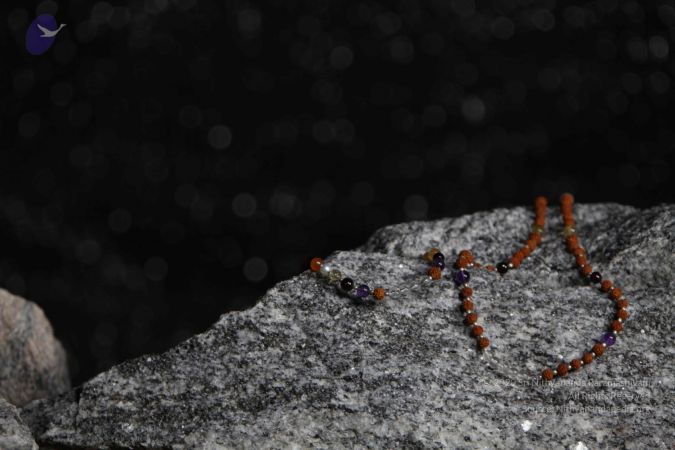 20110910 IMG 6091 CMP WM-173001.jpg