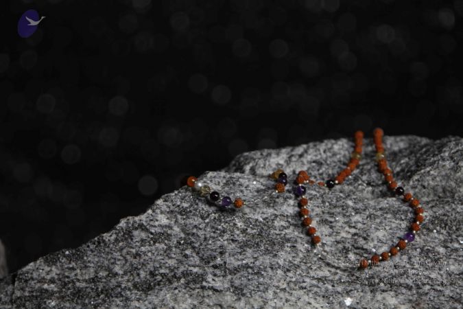 20110910 IMG 6092 CMP WM-174001.jpg