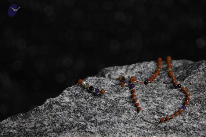 20110910 IMG 6093 CMP WM-175001.jpg