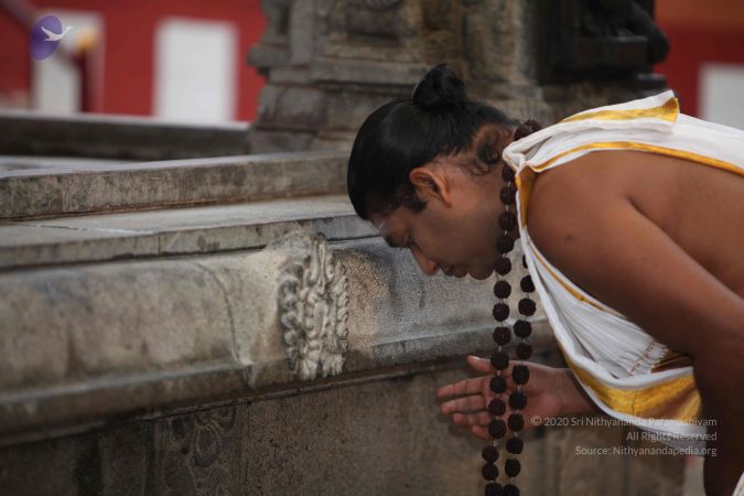 20110913 Photo 1017 1eoJPNhNSrqDLmhc4iI6ryk AbSiDMNFy.JPG