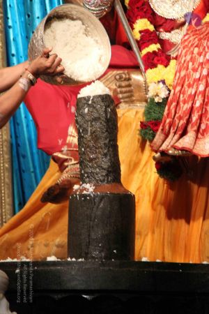 20110913 Photo 1177 16G78DA3PMSDCYJ5VXk323jxun4SyZd8z.JPG