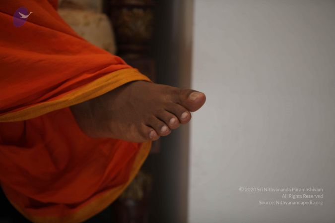 20110915 Photo 1423 1jpi5OpXqqdHJzHUbxD2LrGtssXC91K17.JPG