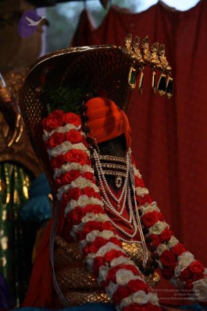 20110917 Photo 1006 1cI89B3gAocYvqIM5OtaHX9LD35kXXRkZ.JPG