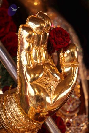 20110918 Photo 1013 1NBnzLONLPOiD8nRa-PcGg0nBlRBfMrm9.JPG