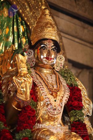 20110919 Photo 1015 1IVCI4P9NlFjR0I8gQbdWNpWI5pQSFF46.JPG