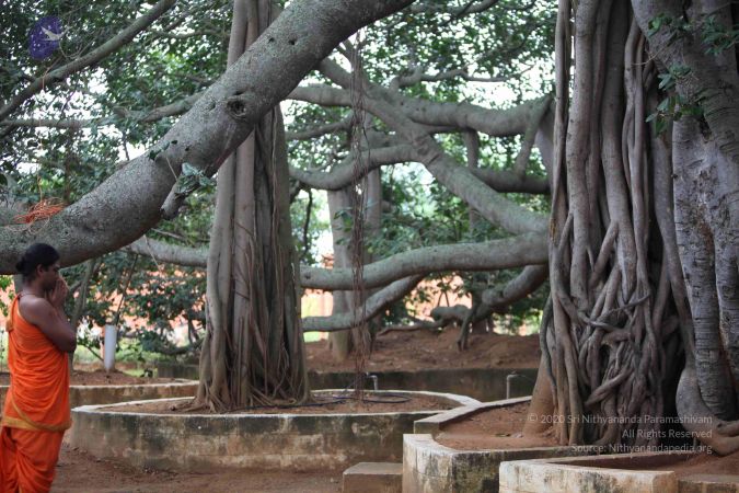 20110919 Photo 1031 1OzJEj93zt3ldhvQHIhQlWKGVl0LJdK2n.JPG