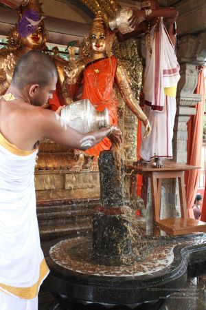 20110919 Photo 1189 1ox5JAgSxtysX6TUlGWVOOtTxfzvbhCD9.JPG