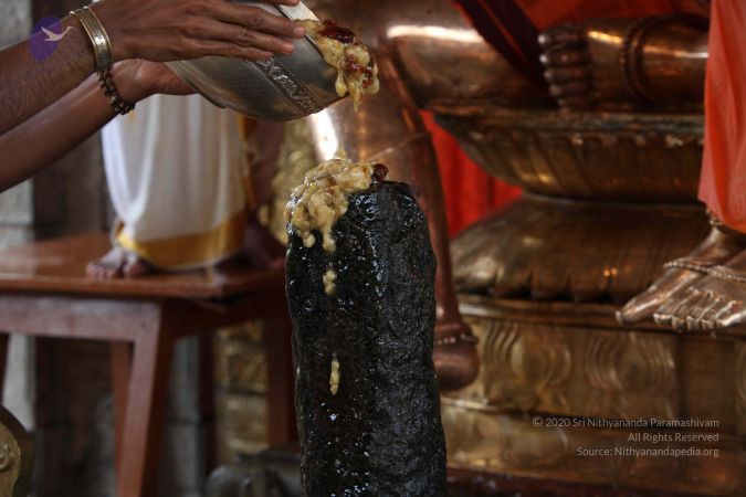 20110919 Photo 1307 1NwNAYwwKeudGMbpWQGpXC-wRXN43JrNz.JPG