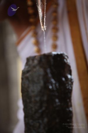 20110919 Photo 1343 1IUUz nRA0F2Jkpzt1Z2XkZQLrVh6W7 L.JPG