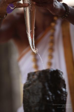 20110919 Photo 1345 1lpPd7HFFJ2TgnHlT3N nFIAEBGh5UMJ3.JPG