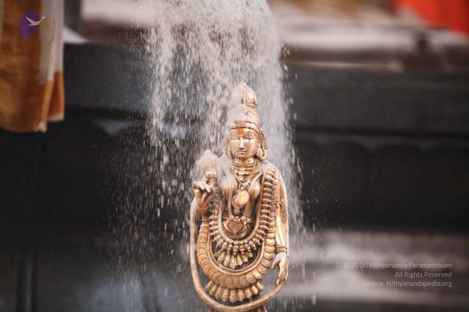 20110919 Photo 1359 1zw5AgJeNpZ4NFhiJGAb5tnyRoOruvRh1.JPG