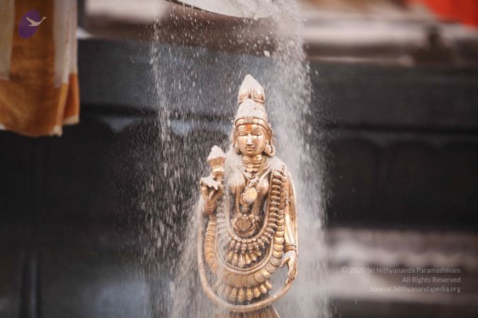 20110919 Photo 1360 1hyHLGIJJFGH1IEbC-h7JUuc6cHNeUXZ4.JPG