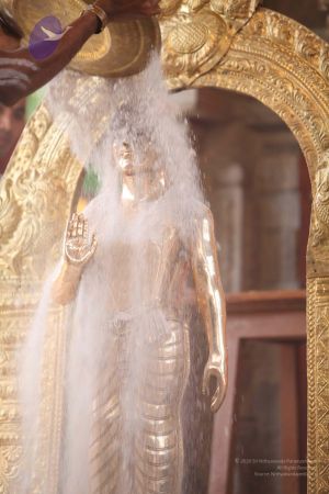 20110919 Photo 1365 1xW60GQQUoZdTrecDOnZzBE2rXGWrVjY0.JPG