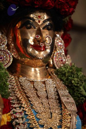 20110919 Photo 1431 1wQQ Ct7VwixpRLiaW6QBoMV1hyiUnp2K.JPG