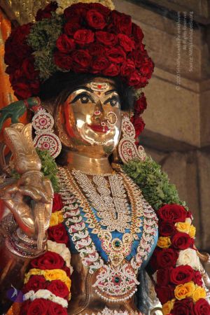 20110920 Photo 1006 1GUrQLlhOExE9Z1b-XKGzo8gJhoL NrgZ.JPG