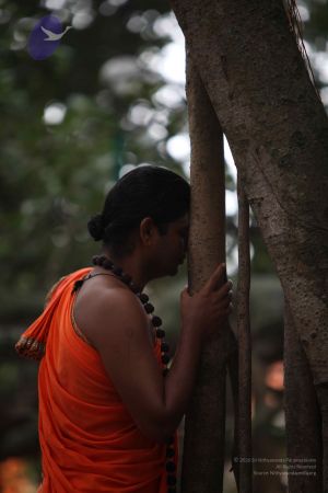 20110920 Photo 1008 1MG156vgLUjRhurD43rMmwcEuTVleKwoR.JPG