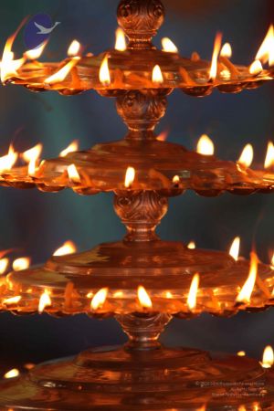 20110921 Photo 1019 132qMN1jeYSLy8yE6cwJsCPCjVKpYlXLv.JPG