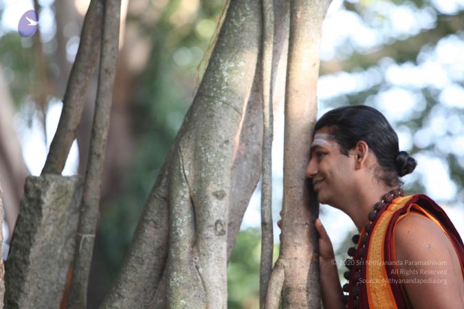 20110923 Photo 1017 1zqrqyAyUkzb3RL8opL0mRw0JEnxPbSjO.JPG