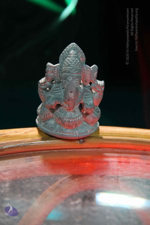 20110924 Photo 1079 1Vo6VzOF48wVH4JCG-bXcRC6GIoq30ZsX.JPG