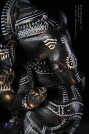 20110924 Photo 1104 1RoOf2GsXR3jFtfgs2H1-OTUDo9bk68K0.JPG