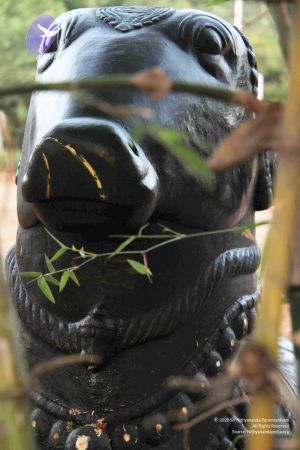 20110926 Photo 1018 1VqXZ19SJyJP7yg6SIFbKpMjWXx2N1-sz.JPG