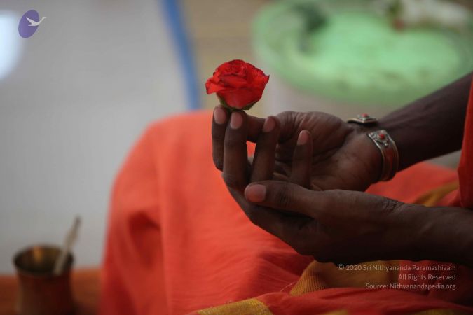 20110926 Photo 1028 15eSb8ausHy498v85raPjL-4ummJc26wS.JPG