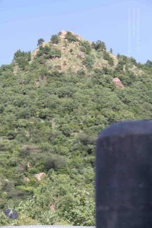 20110926 Photo 1048 1q9W9kGLqBdRW0o9W57PoqnF1ZPHHhgJs.JPG