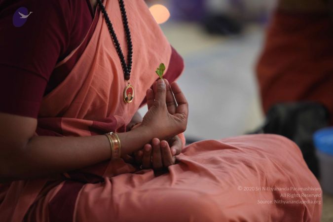 20110926 Photo 1052 1rdcln41Si2gc0Mj2A0pwVHod cBkqb9n.JPG