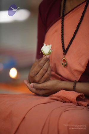 20110926 Photo 1065 1cobcjVnyuohRSuMBVjV Ncq8H0-OSeXd.JPG