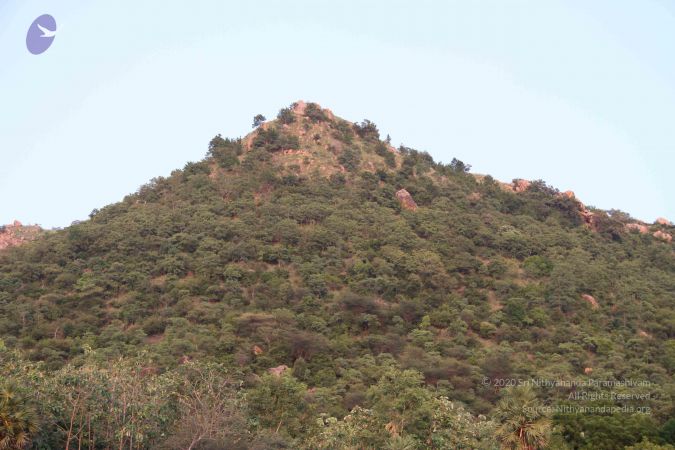 20110926 Photo 1080 1CeMh0pDYHeivVzDNBD2oFjCj2vnJiRr3.JPG