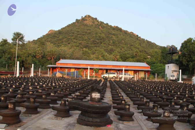 20110926 Photo 1081 1OyqTpcfYuf0YfeFlnqxnCppUmBZxgjRi.JPG