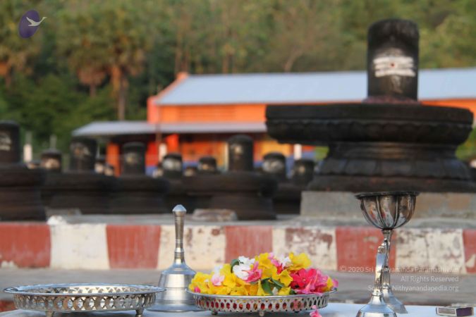 20110926 Photo 1083 1I7zR9vtCOZB4pv1n425n1MTpeAgmgkAY.JPG