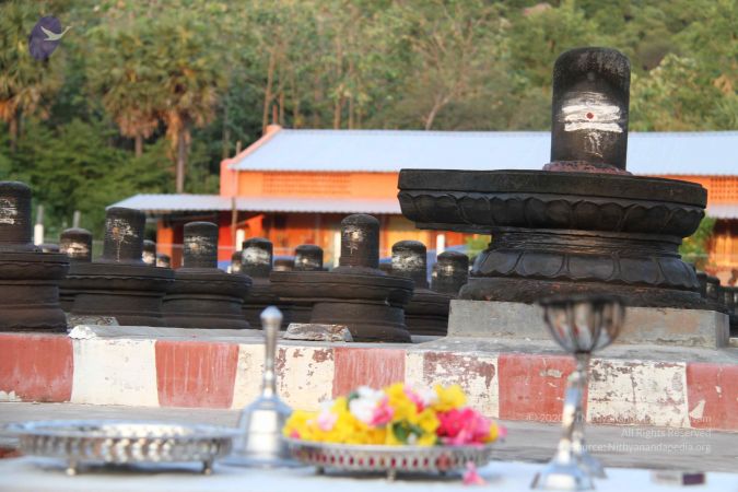 20110926 Photo 1084 1EBVJftvSpD7xWtcSPLH95Xwa4iTcGuBI.JPG